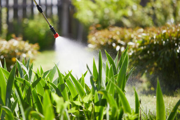 24/7 Emergency Mosquito Control experts in Grandview Heights, OH