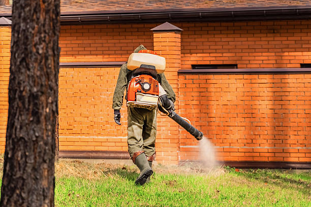 Top rated local Mosquito Control specialists in Grandview Heights, OH